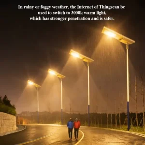 Eco friendly Reliable Monocrystalline Silicon High Power Solar Street Light 300w Outdoor with Remote for Resident Road