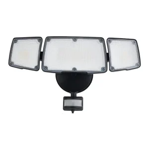 Economical LED Outdoor Security Light Motion Sensor Lighting