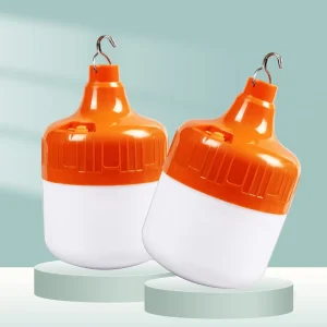 Factory Emergency Camping Home Lamp Led Charging Light Bulbs Rechargeable Led Bulb Lights Luminous Power Battery Chip