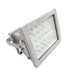Factory High Power Led Indoor Light Flood Floodlight