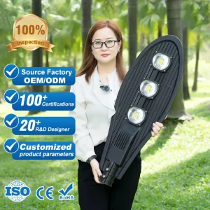 Factory Outdoor Road and Highway Lighting IP66 Waterproof LED Street Lamp 30W 50W 100W 150W 200W 250W