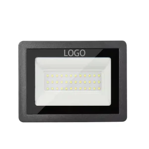 Fast Shipping Aluminum Lamp Body IP66 Waterproof Outdoor 30W Led Flood Light With Smd Chip