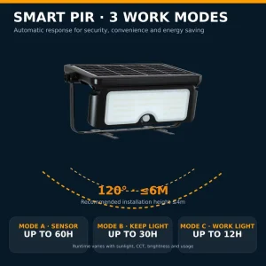 Grade A+ Mono Solar Panel 22.5% Conversion 1600lm Tempered Glass IP65 Solar LED Fllod Lamp for Garden