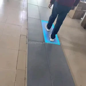 Ground Traffic Underground Zebra Crosswalk Zebra Crossing Floor Brick Solar Step Lights