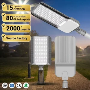 High Brightness Garden Outdoor Aluminum Time Control Waterproof Ip67 30W 50W 100W 150W 200W Led Street Light
