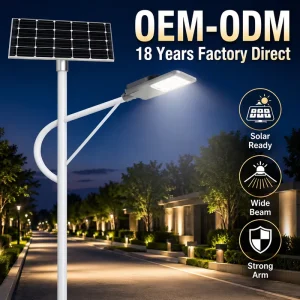 High Brightness LED Commercial Solar Street Light for Highway Motion Sensor Timing Control IP65 Aluminum Construction