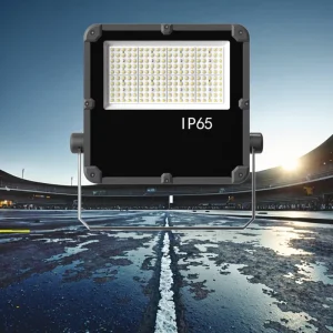 High Brightness Outdoor LED Stage Flood Light 50W 6V 100W 500W Aluminum Body with IP65 Rating