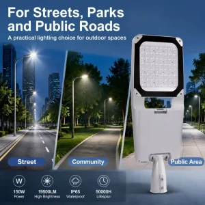 High Efficacy 200LM W LED Street Light AC85 265V Lumileds Inventronics Driver 50W 100W 150W 200W Roadway Luminaire