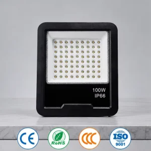 High Lumens Outdoor Led Flood Light Floodlight Led Tunnel Light LED Floodlight IP66 Light for Football Field Stadium Car Parking