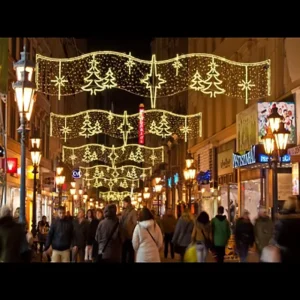 High Quality Best Selling Holiday Outdoor Decoration Led Street Light Outdoor for Park Decoration