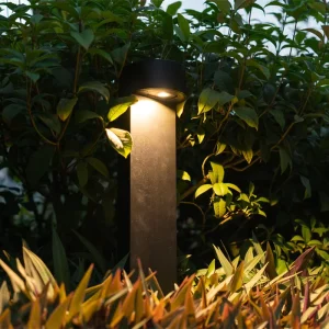 Hot selling Decorative Waterproof Environmental protection Outdoor Street Garden Lights