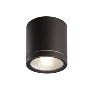 IP54 Outdoor Waterproof LED Ceiling Light