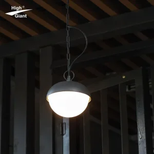 IP54 Waterproof Indoor and Outdoor Ceiling Light for Garden and Courtyard