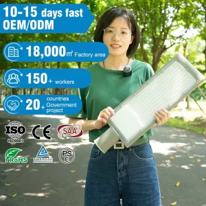 IP65 Outdoor LED Street Light 30W 50W 100W 150W 200W Streetlight 100lm High Lumen Output Street Light