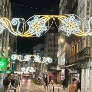 IP65 Outdoor Large Scale Commercial Holiday Street Mall Plaza Park RGB LED Decorative Snowflake Christmas 3D Motif Lights
