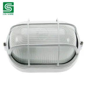 IP65 Waterproof Oval Bulkhead LED Wall or Ceiling Light