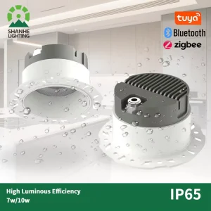 IP65 Waterproof Trimless LED Downlight DALI-Compatible Ceiling Light for Bathroom or Terrace