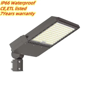 IP66 500W LED Roadway Street Light for Public Areas and Courtyards