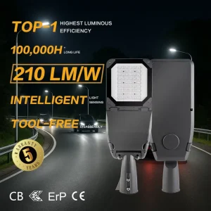 IP66 LED Street Light for Latin America and Africa Public Infrastructure Lighting Projects