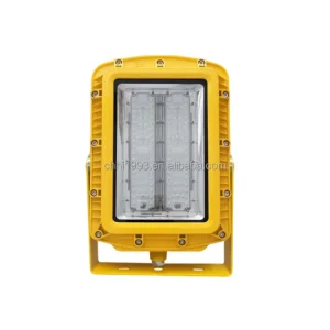 IP66 Waterproof AC Powered 100W LED Explosion Proof Street Light with Two Mounted Types for Gas Station Pathway