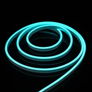 IP67 Waterproof 0816 SMD3535 5050 RGB LED Neon Flex Light Strip Pure Silicone 12V 24V for Christmas Wedding Birthday Decor