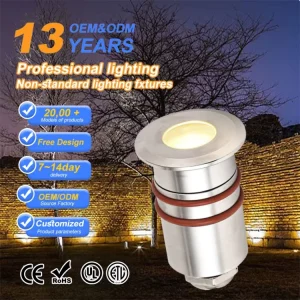 IP68 Inground LED Landscape Light Stainless Steel Garden Pathway Driveway 12V 220V Dimmable Outdoor Uplight 1W