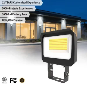 LED Aluminum IP65 SMD Waterproof Outdoor Wide Sensor CRI 80 160lm W LED Flood Light for Courtyard