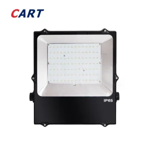 LED Garden Light DC24V 100W 150W 200W RGBW RGB+CCT 2700K-6500K LED Flood Light