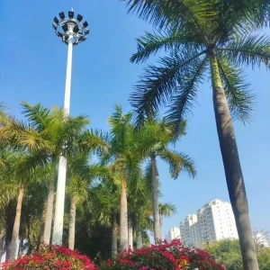 LED High Mast Lighting Pole Hot Galvanized Steel High Mast Light for Airport Runway Waiting Area