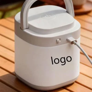 LED Lamp for Camping Emergency Household & Outdoor PP Tent Hanging Ambiance Lamp with Rechargeable Battery