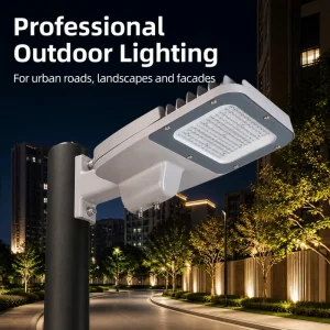 LED Landscape Road Light High Lumen for Scenic Avenue Outdoor Illumination