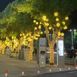 LED Outdoor Lantern Ball Lights, IP65 Rainproof and Waterproof, Low Voltage, Decorative Landscaping Lights