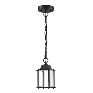 LED Outdoor Pendant Light Rust-Resistant Black Finish Clear Glass