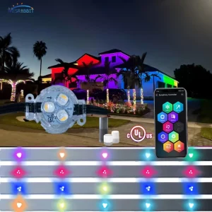 LED Outdoor Waterproof Christmas Lights IP68 Wireless Control Dimmable PVC DC24V Garden Applications