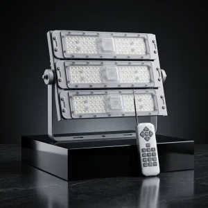 LED RemoteControlColor-Changing Synchronized Flood Light Projector Light Lighting Lamp for Scenic Areas and Amusement ParksAC24V