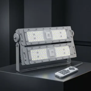 LED RemoteControlColor-Changing Synchronized Flood Light Projector Light Lighting Lamp for Scenic Areas and Amusement ParksAC24V