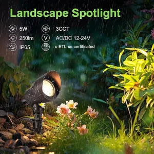 LED Spot Light Outside Garden Waterproof Spike 24V Adjustable Landscape Decorative Lighting Walkway Modern Lawn Tree Spotlight