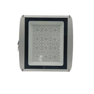 LED Tunnel Light 30W 200W IP67 LED Tunnel Light LED Tunnel Lamp