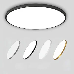 LED Waterproof Outdoor Circular Ceiling Light for Balcony, Courtyard, Corridor, and Gate