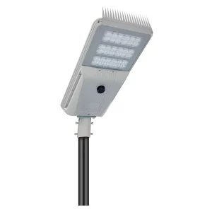 LKH Series 30W 40W 60W 80W 100W 120W Integrated Solar LED Street Light Outdoor Waterproof IP65 With Bird Deterrent Metal Spikes