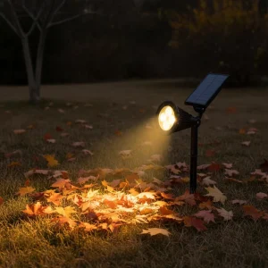 Landscape Lighting Solar With 2200mAh Battery and 3W RGB Leds for Garden Retail OEM ODM Supply Programs 17