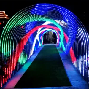 Lexiang LED Modeling Lights Dynamic Time Tunnel Outdoor Large Engineering Festival Light Show Decorative IP65 Low Lighting