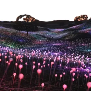 MZG IP68 Rated LED Fiber Optic Ball Light for Holiday Outdoor Garden Patio Decoration