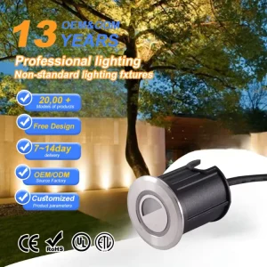 Mini LED Recessed Spotlight 0.5W 1W IP68 Stainless Steel DC12V DC24V 2700K 6500K Dimmable Indoor Outdoor Accent Light