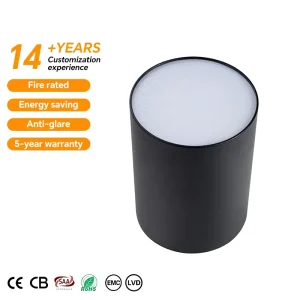 Modern 7W-45W Outdoor LED Ceiling Downlight with PC Diffuser, RGB, 3000K CCT Options, IP65, CE Certified