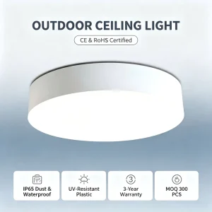 Modern Plastic Round Flush Panel LED Ceiling Light, IP65, AC Surface-Mounted