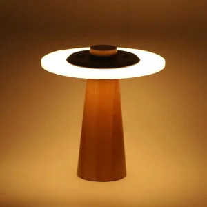 Multi Color Light Solar Led Garden Modern Outdoor Waterproof Adjustable Remote Control Saving Durable Stylish Easy Install
