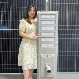Municipal Engineering Outdoor Waterproof IP66 Road Lamp 30W 40W 50W 60W 70W 80W Integrated All in One LED Solar Street Light