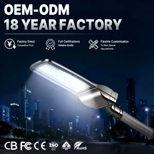 New Style IP65 Waterproof Lamp Source Housing Outdoor 50W 100Watt Road Security LED Street Lighting