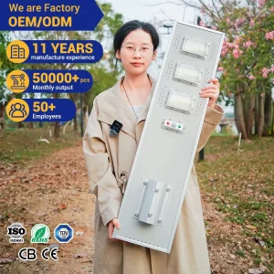OEM ODM Integrated Aluminum IP65 20W 40W 60W 80W Park Main Road LED Solar Street Light